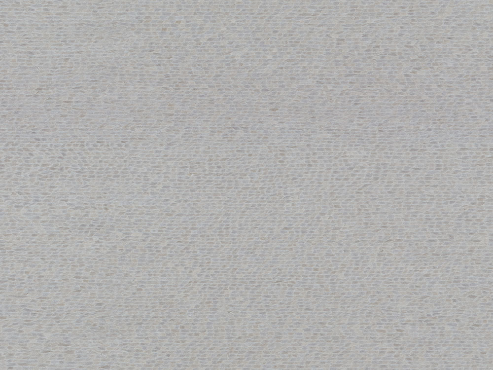 珍珠木2501