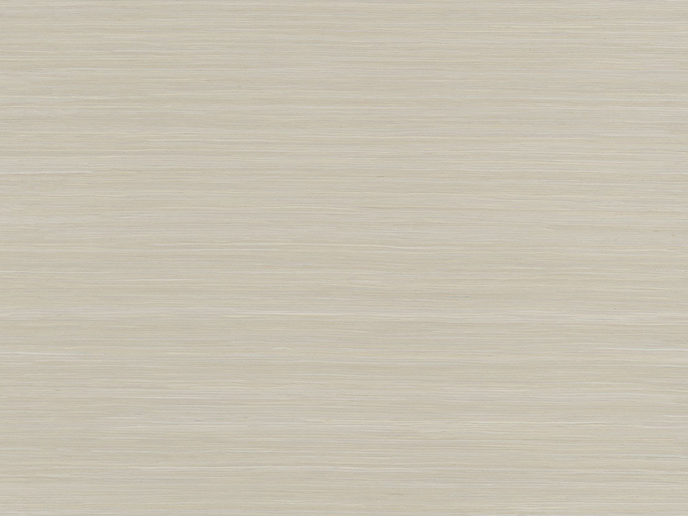 白枫203
