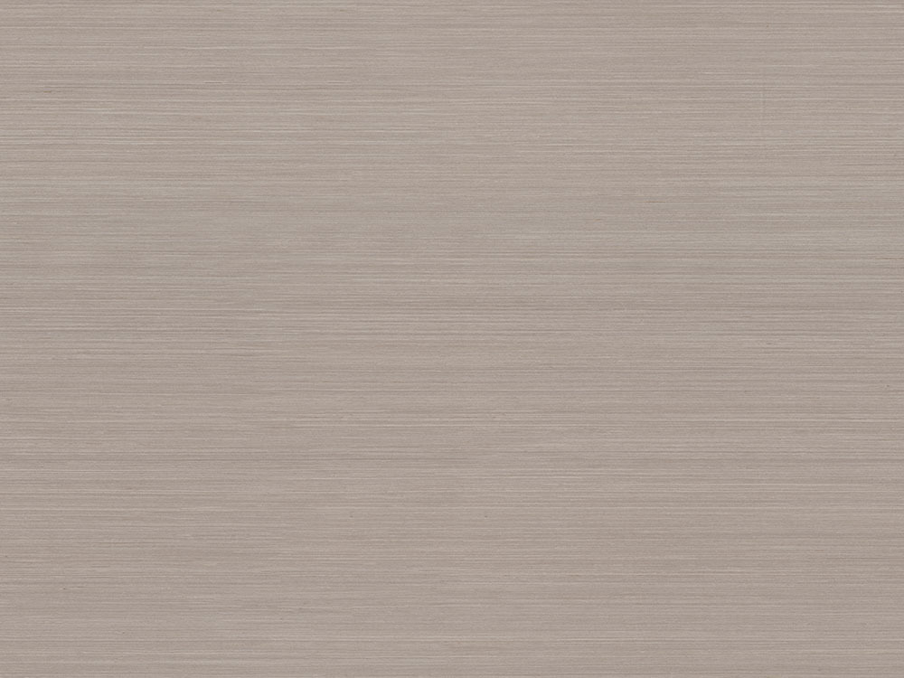 白源509